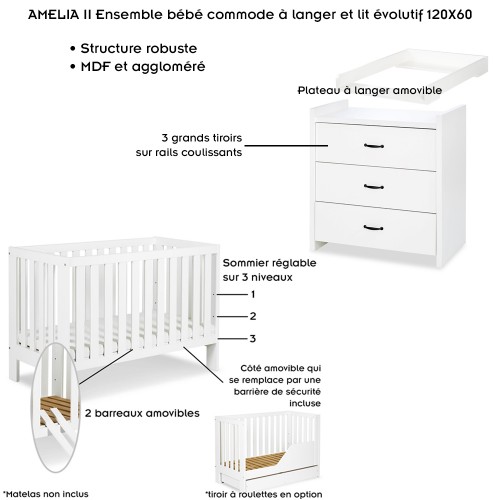 AMELIA II Ensemble 2