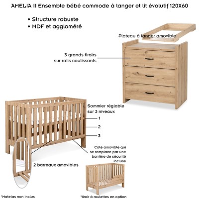 AMELIA II Ensemble 2